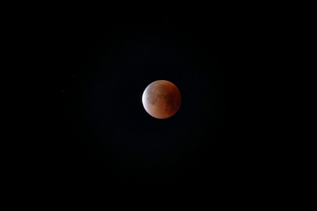 Lunar Eclipse
Berkeley, California
6:00am pst, Jan 31st