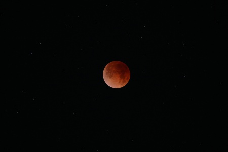Lunar Eclipse
Berkeley, California
5:30am pst, Jan 31st