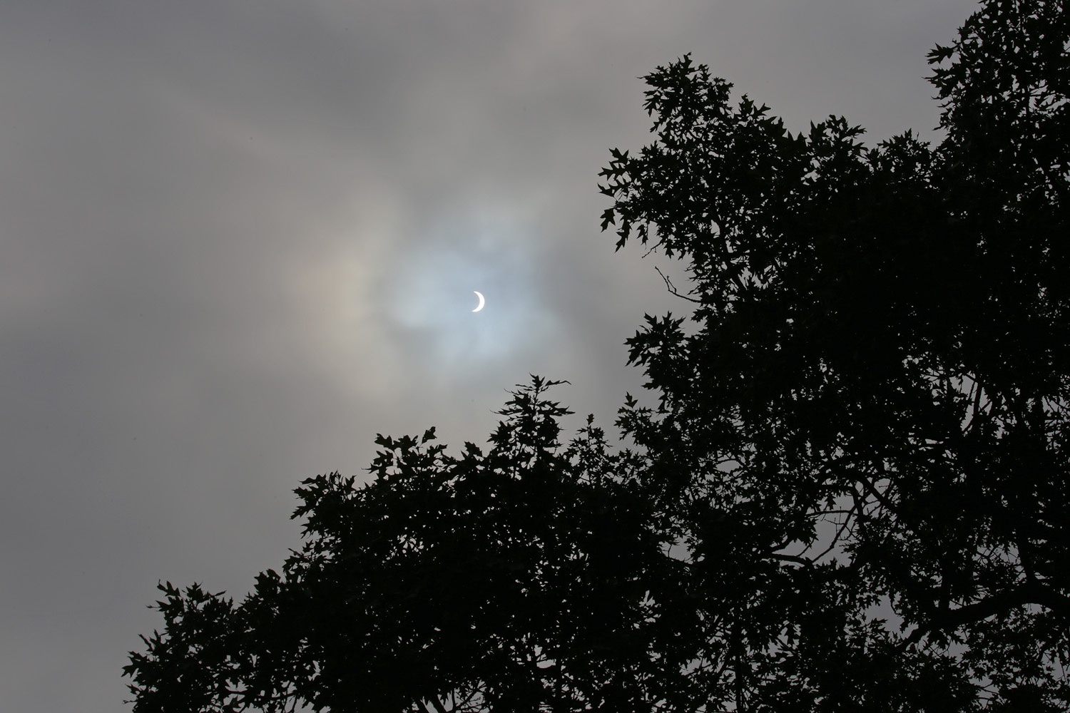 bill-hocker-solar-eclipse-napa-california-august-21--10:34am-pdf-2017