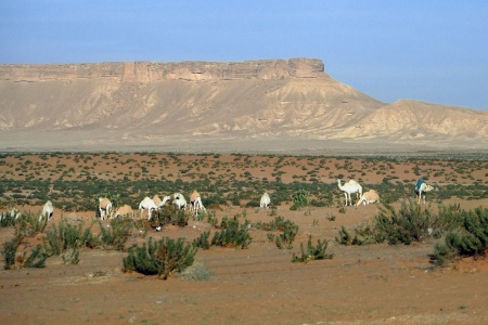 Near Rughabah
Saudi Arabia