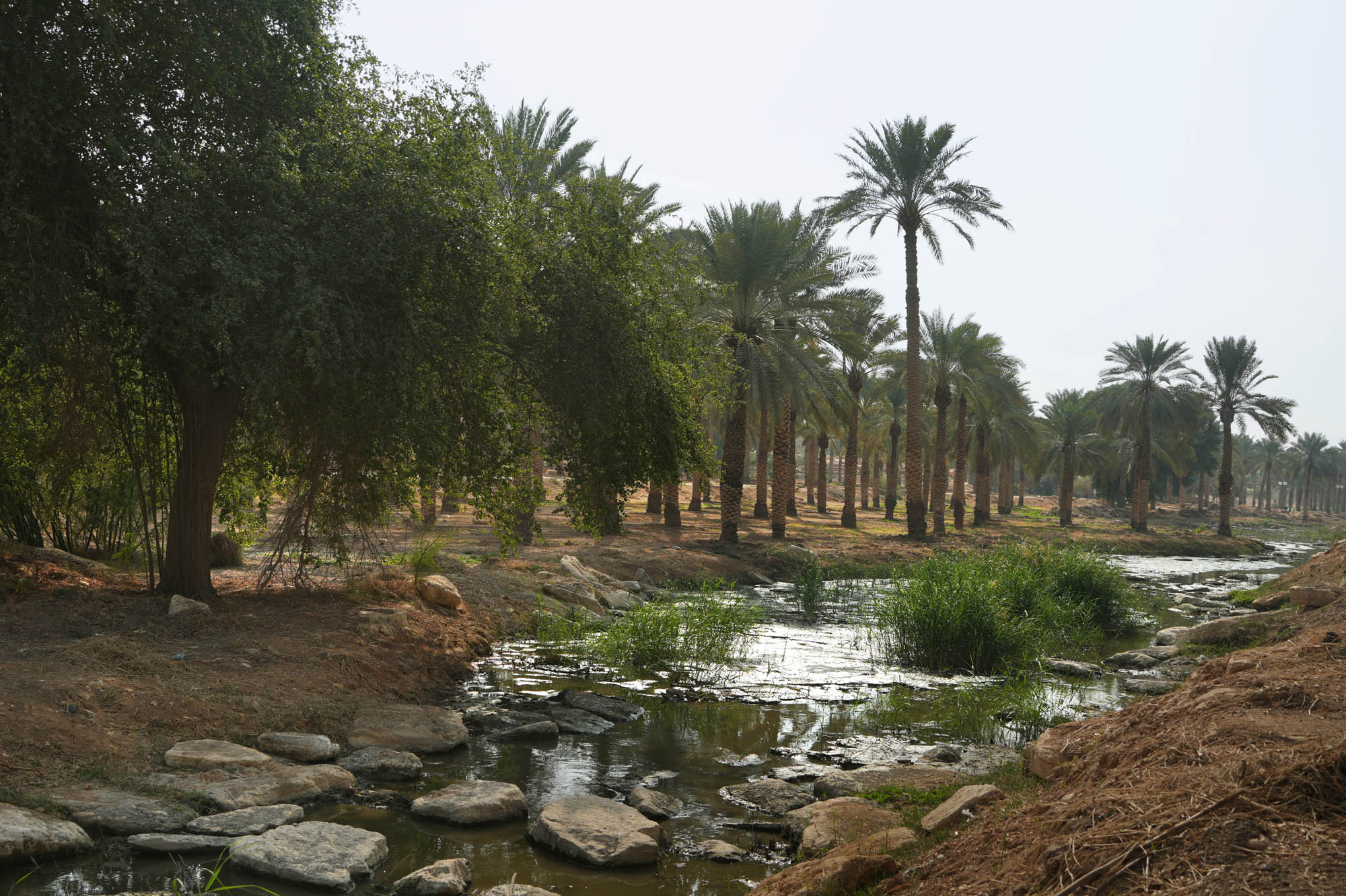 bill-hocker-wadi-hanifah-in-the-al-safarat-diplomatic-quarter-riyadh-saudi-arabia-2024