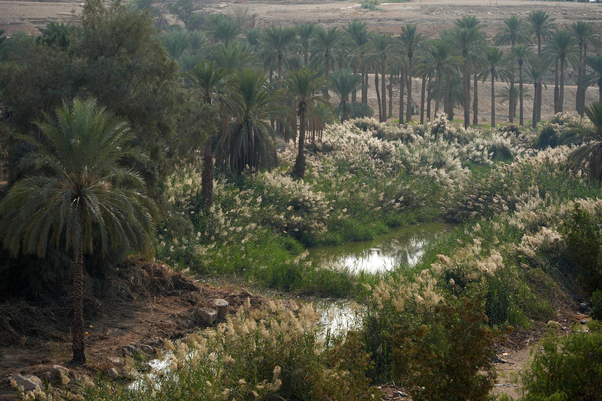 bill-hocker-wadi-hanifah-in-the-al-safarat-diplomatic-quarter-riyadh-saudi-arabia-2024