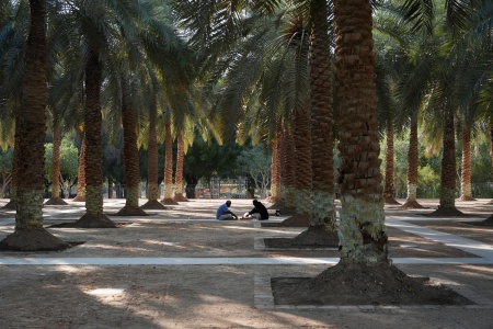 Lunch
Al Murabba Palm Grove
Riyadh, Saudi Arabia