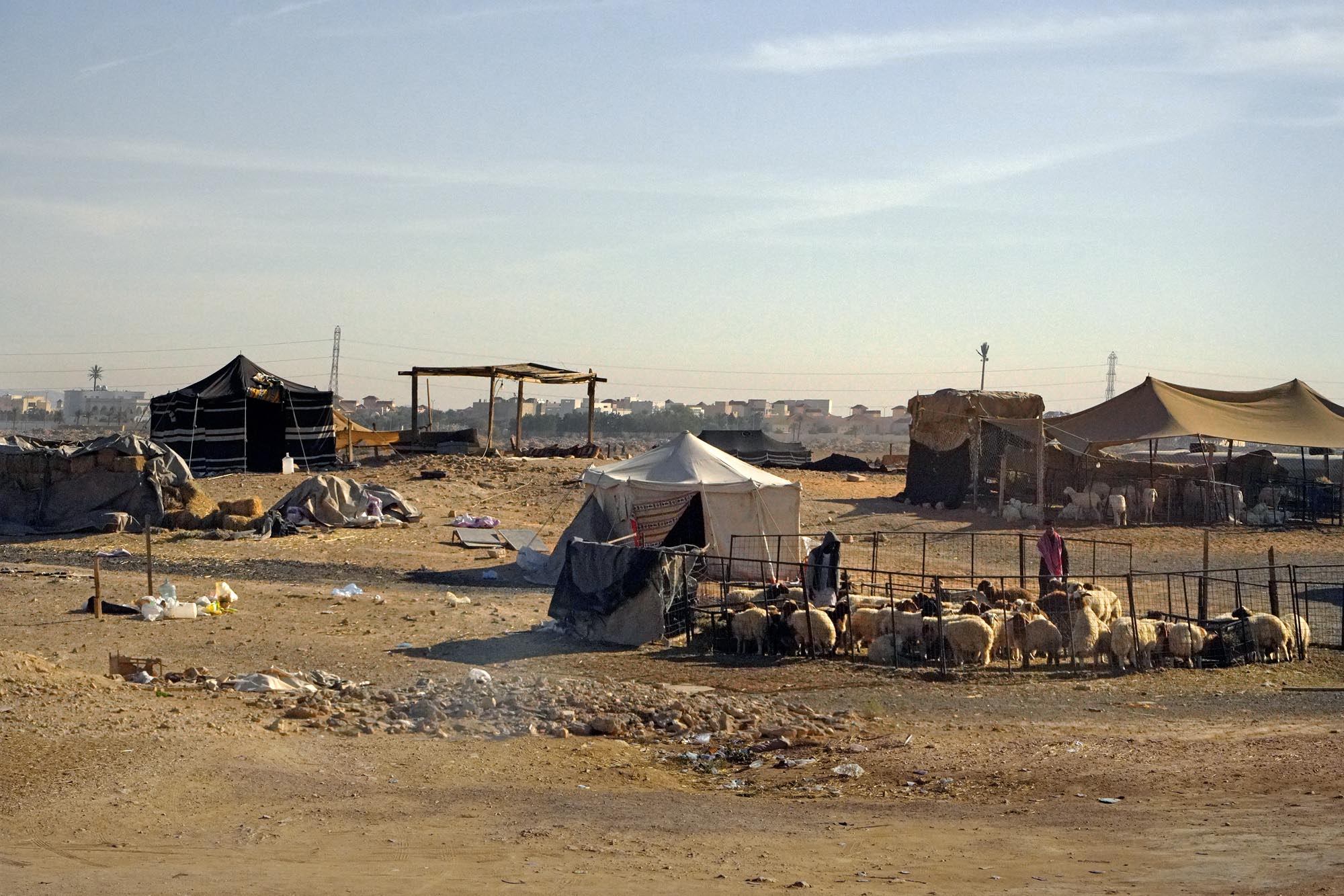 bill-hocker-sheep-camp-near-riyadh-saudi-arabia-2024