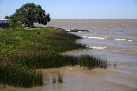Shoreline
Colonia del Sacramento, Uraguay
(day trip)