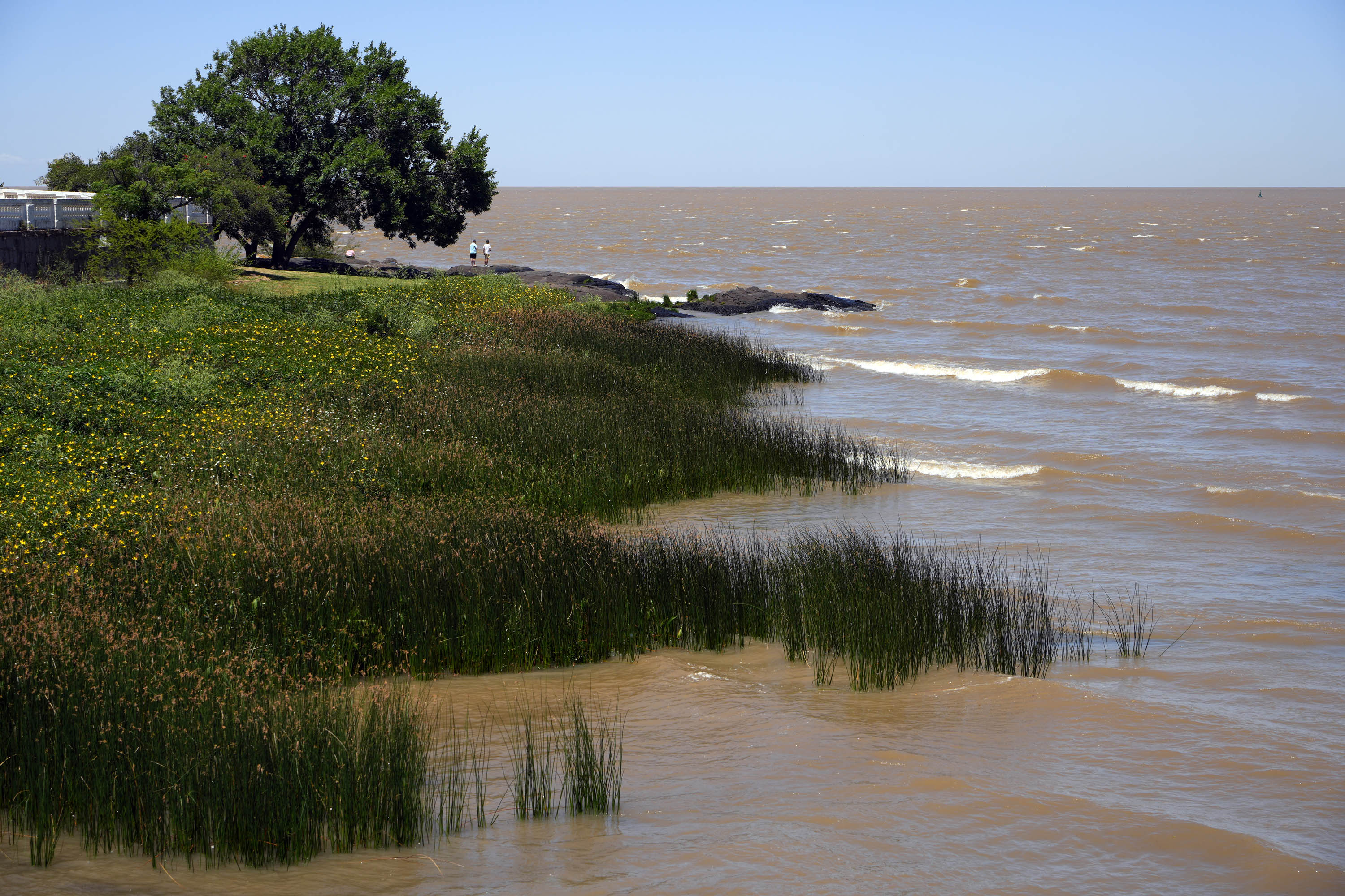 bill-hocker-shoreline-colonia-del-sacramento-uraguay-(day-trip)-2024