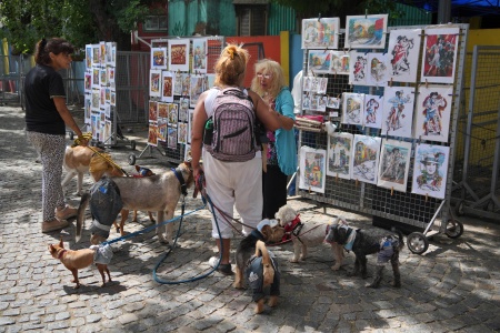 Dog walkers
Caminito
La Boca District
Buenos Aires, Argentina