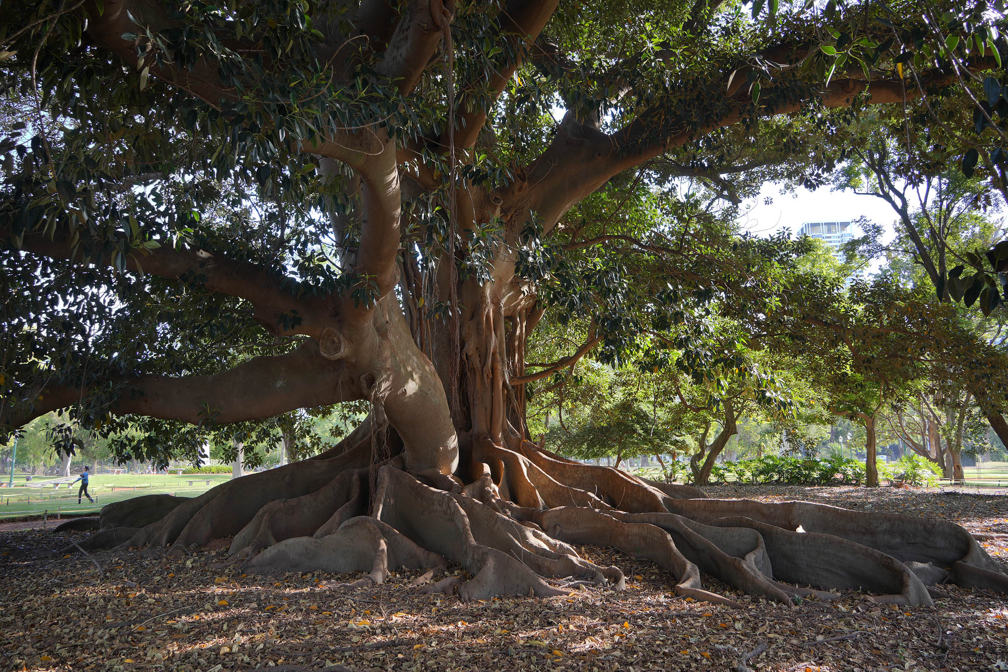 bill-hocker-tres-de-febrero-park-buenos-aires-argentina-2024