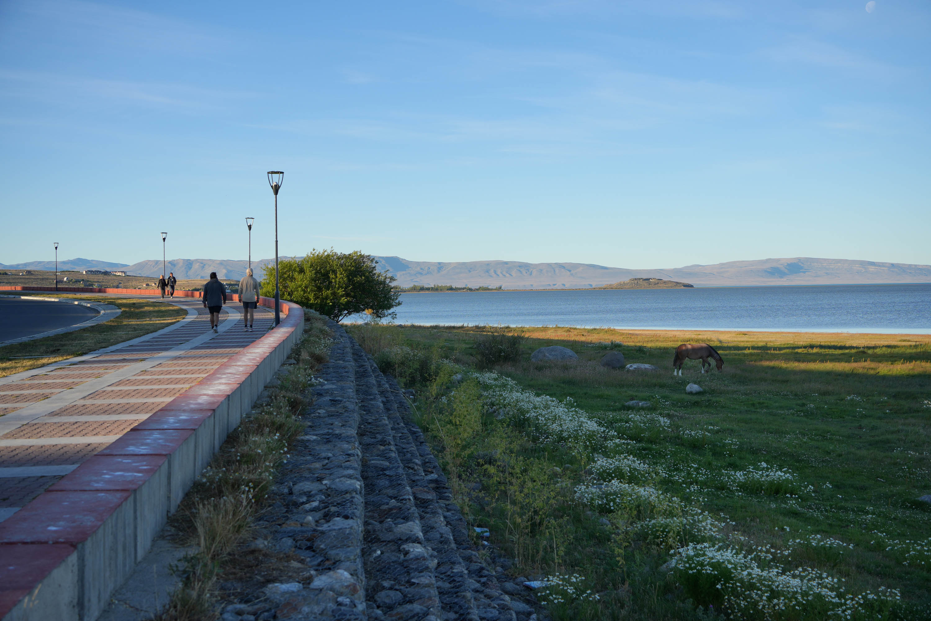 bill-hocker-paseo-lago-argentino-el-calafaté-argentina-2025