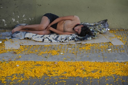 Tipa Tree Blossoms
Av. 9 de Julio
Buenos Aires, Argentina