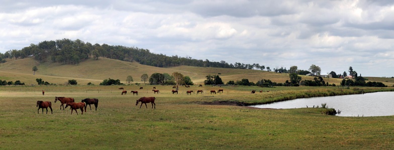 Horse Farm
Queensland, Australia