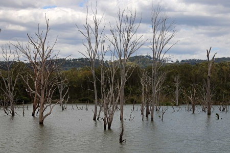 Wyaralong Lake
Queensland, Australia