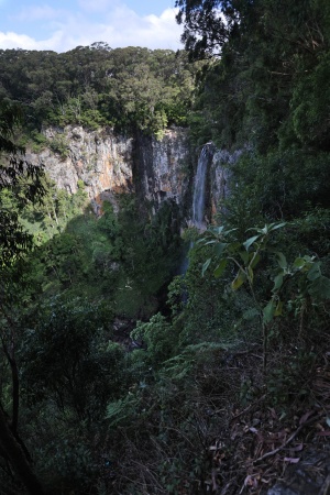 Purling Brook Falls
Springbrook National Park
Australia