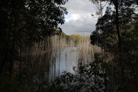 Advancetown Lake
Springbrook National Park
Queensland, Australia