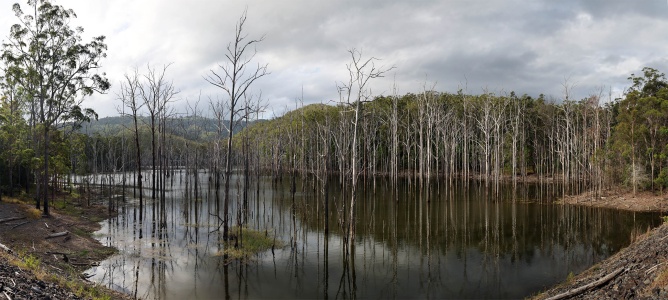 Advancetown Lake
Springbrook National Park
Queensland, Australia