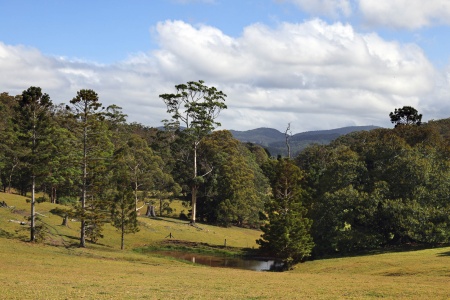Springbrook National Park
Queensland, Australia