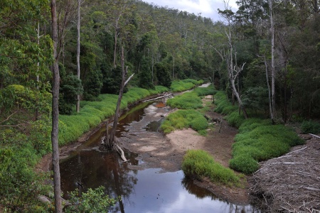 Springbrook National Park
Australia