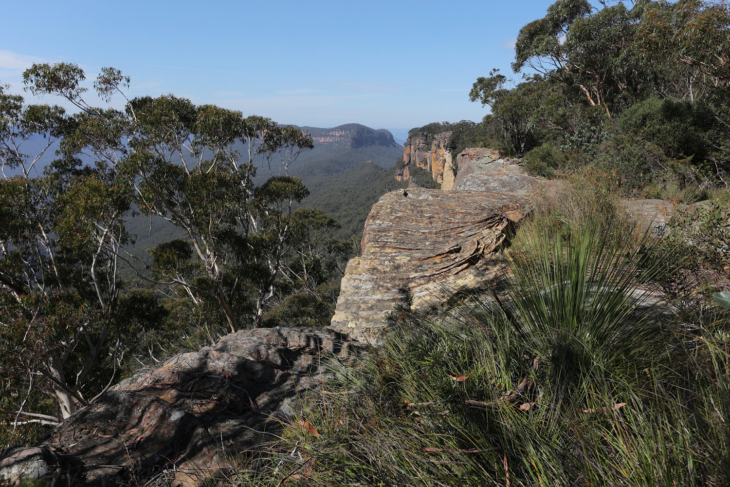 bill-hocker-near-katoomba-australia-2015