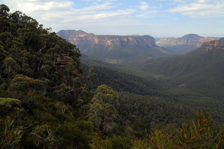 From The Pulpit
Blue Mountains
Blackheath, Australis