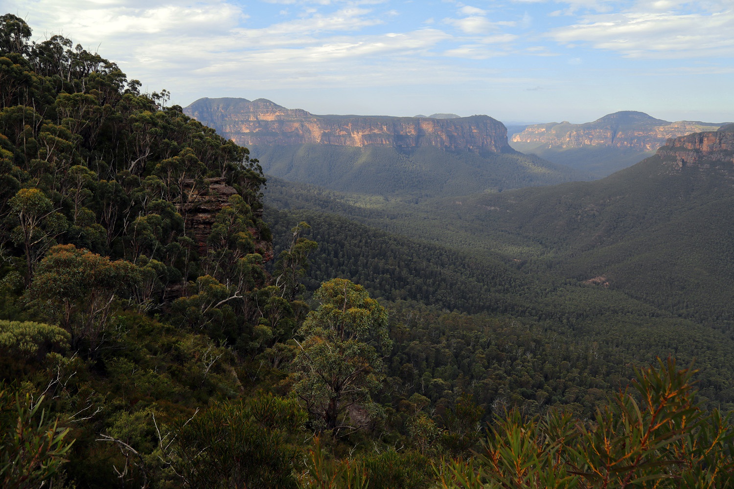 bill-hocker-from-the-pulpit-blue-mountains-blackheath-australis-2015