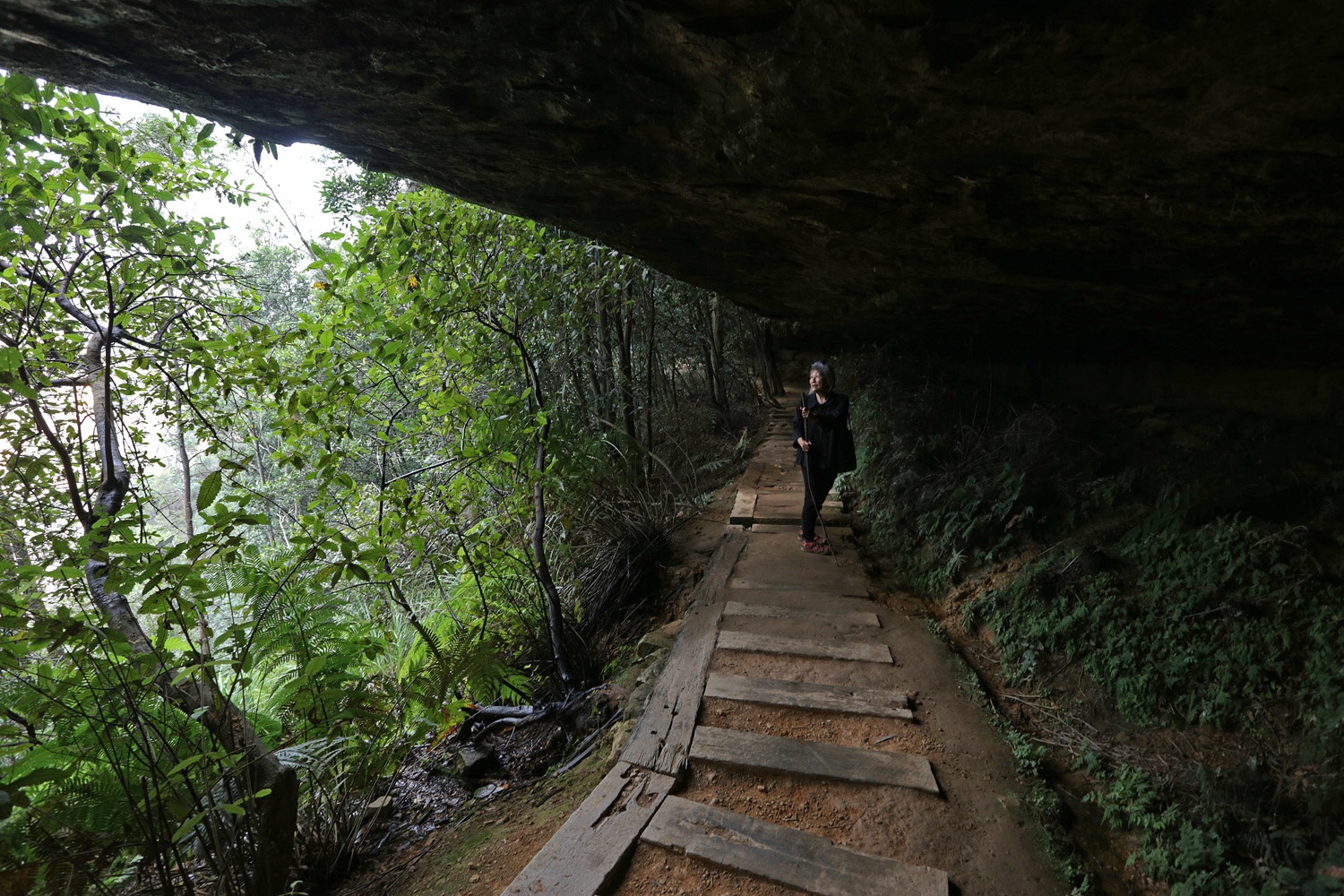 bill-hocker-bleu-mountains-wentworth-falls-australia-2015