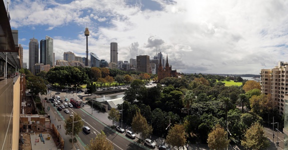 From the Australian  Museum
Sydney, Australia