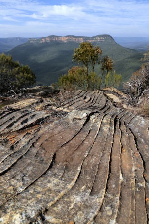 Blue Mountains
Near Katooba, Australia