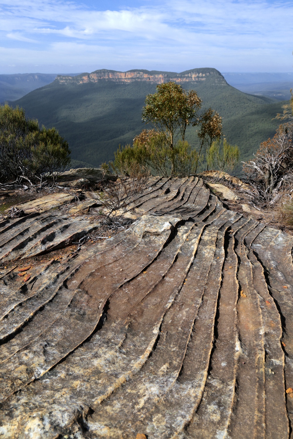 bill-hocker-blue-mountains-near-katooba-australia-2015