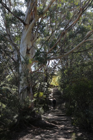 Near Katoomba, Australia