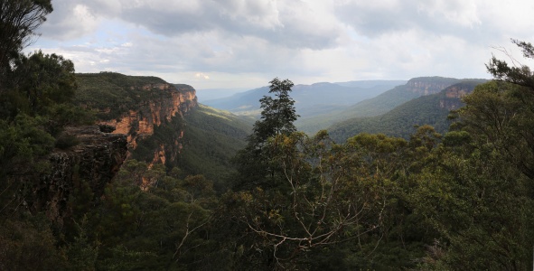 Near Wentworth Falls
Australia