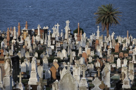 Waverly cemetery
Bronte Beach, Australia