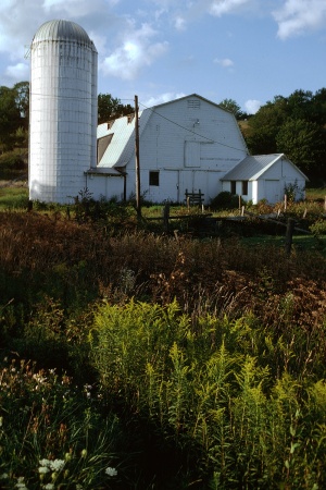 BarnUpstate New York