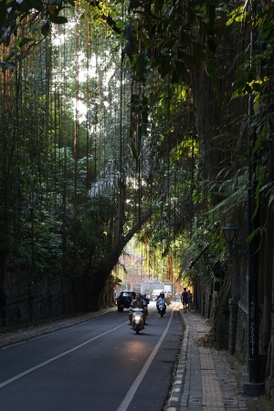 Entry Passage
Ubud, Bali, Indonesia