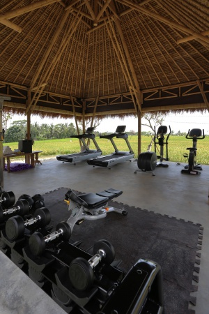 Hotel Exercise Room
Ubud, Bali, Indonesia