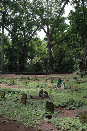 Monkey Forest Graveyard
Ubud
Bali, Indonesia