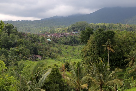 Jatiluawih
Bali, Indonesia