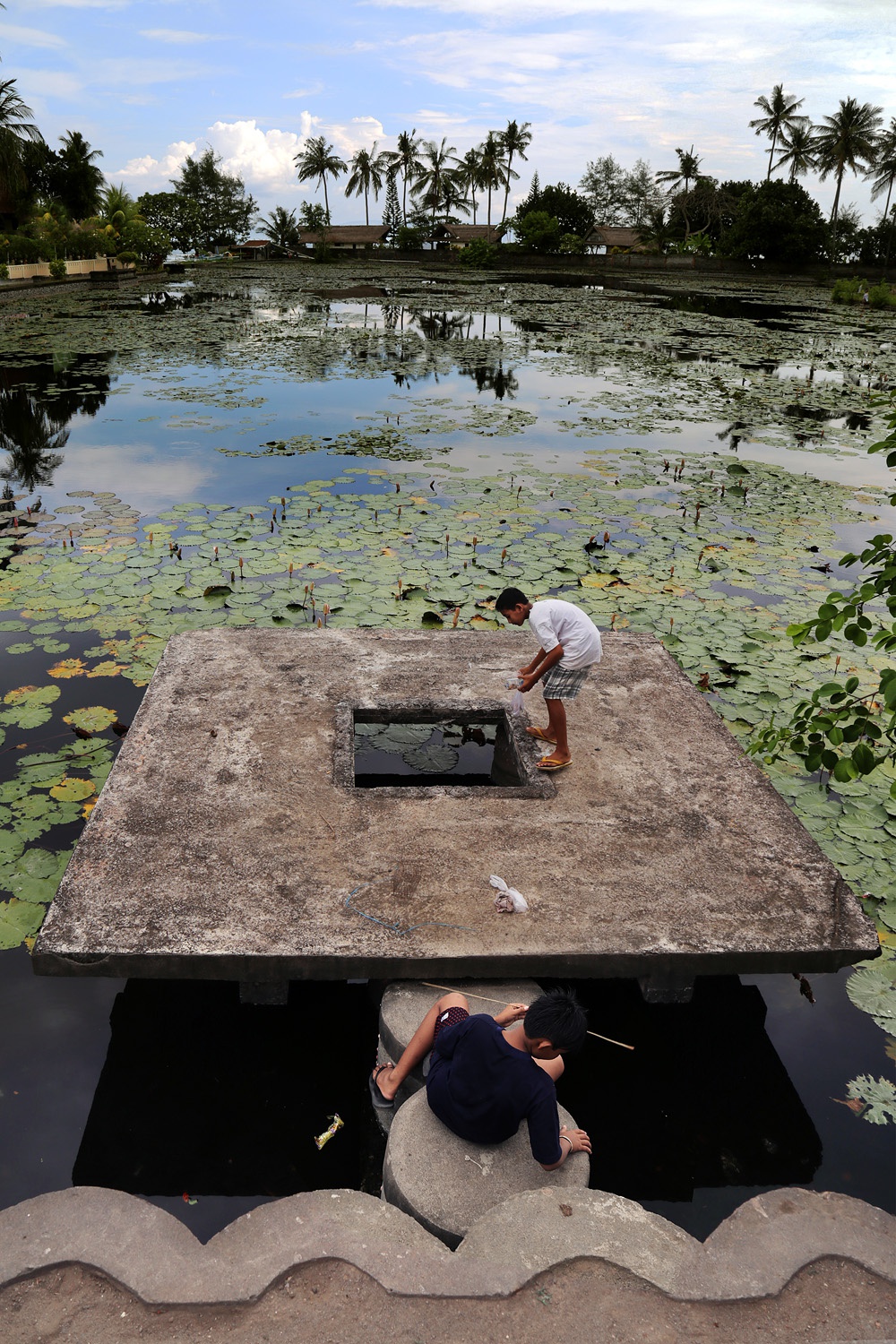 bill-hocker-lotus-lagoon-candidasa-bali-indonesia-2016