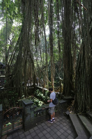 Monkey Forest
Ubud
Bali, Indonesia