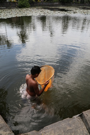 Lotus Lagoon
Candidasa
Bali, Indonesia