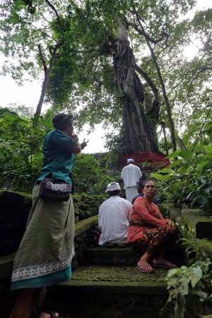 Ceremony
Monkey Forest
Ubud, Bali, Indonesia