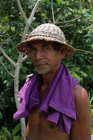 farmer
Ubud, Bali, Indonesia