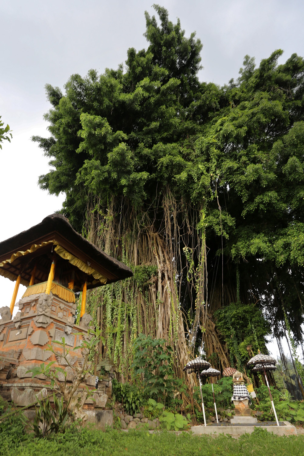 bill-hocker-bali-indonesia-2016