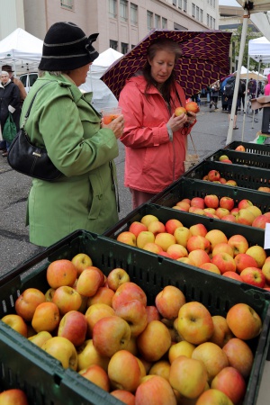 BCCO member
Farmer's Market
Berkeley, California