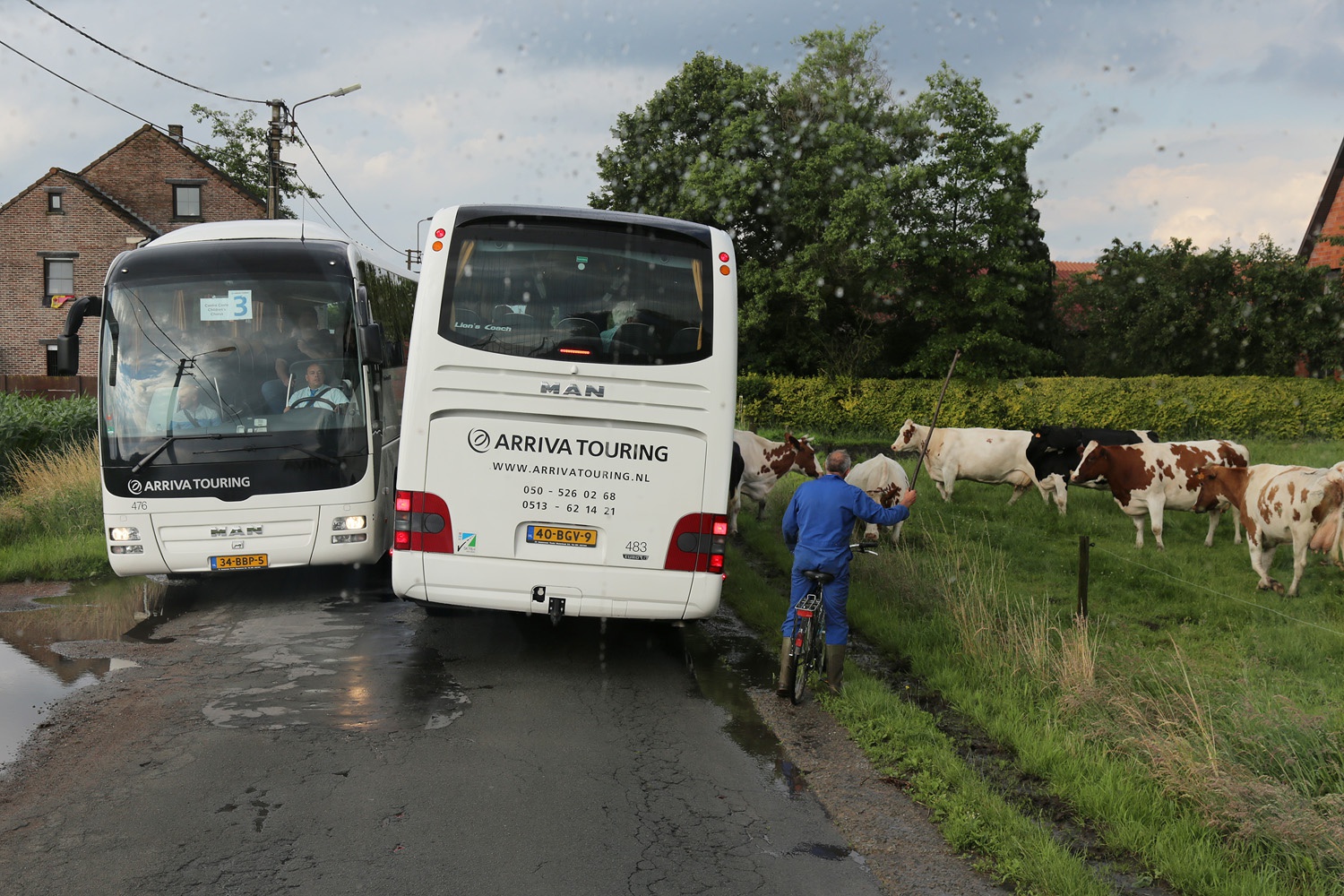 bill-hocker-a-rural-encounter-near-antwerp-belgium-2016