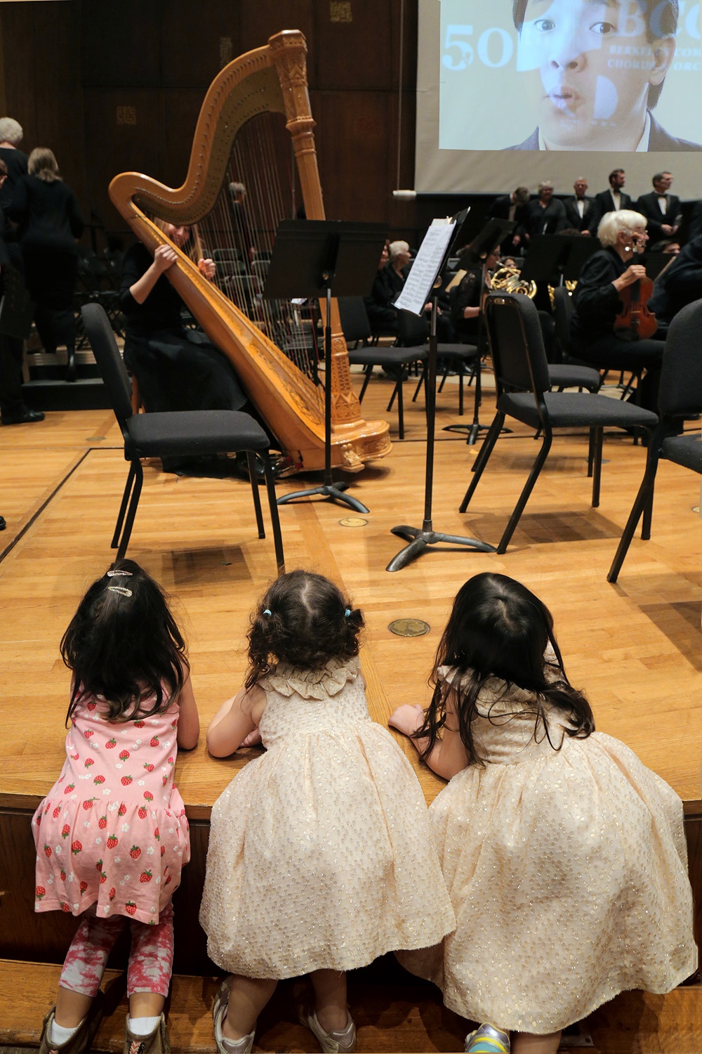 bill-hocker-harp-angels-bcco-50th-anniversary-hertz-hall-berkeley-california-2016