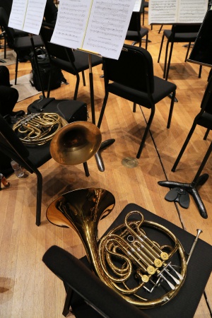French Horn  Discussion
BCCO Fall Concert
Hertz Hall, UC Berkeley
Berkeley, California