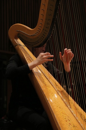 Kristin Lloyd, Harp
BCCO Fall Concert
Hertz Hall, UC Berkeley
Berkeley, California