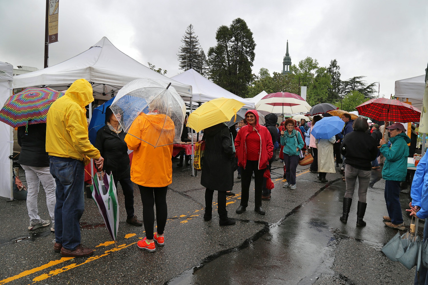 bill-hocker-farmer's-market-berkeley-california-2016