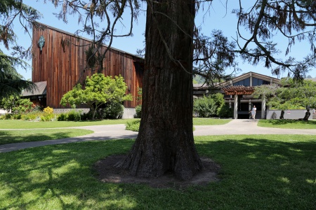 St John's Presbyterian Church
Berkeley, California