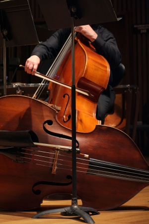 Double Bass
BCCO Spring Concert
Hertz Hall
Berkeley, California